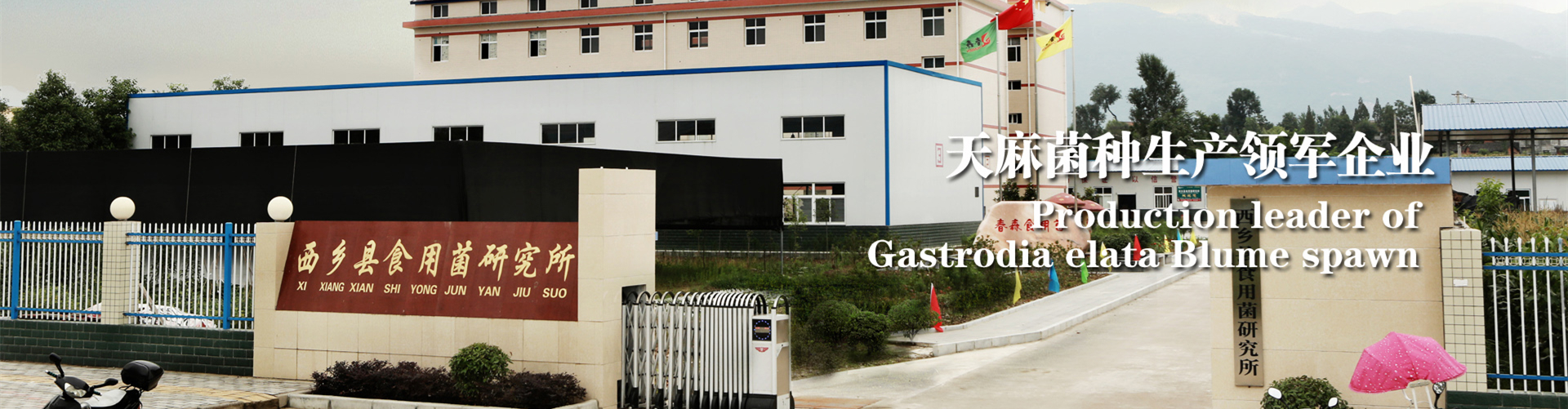 <strong>春森菌種，值得信賴</strong>